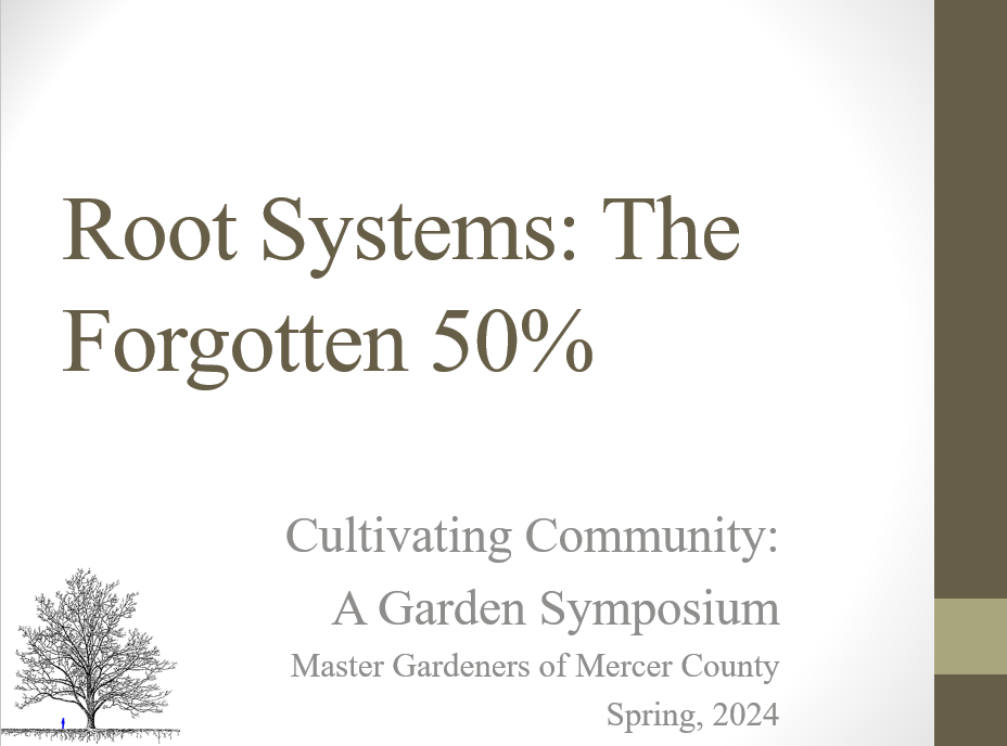 Root Systems: The Forgotten 50%